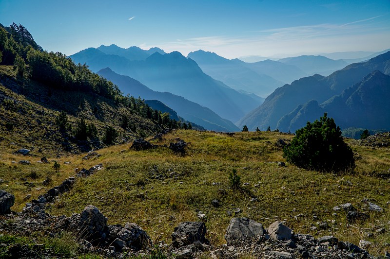 DSC09139-Resizer-800.jpg