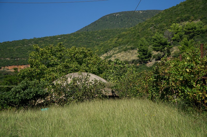 DSC09478-Resizer-800.jpg