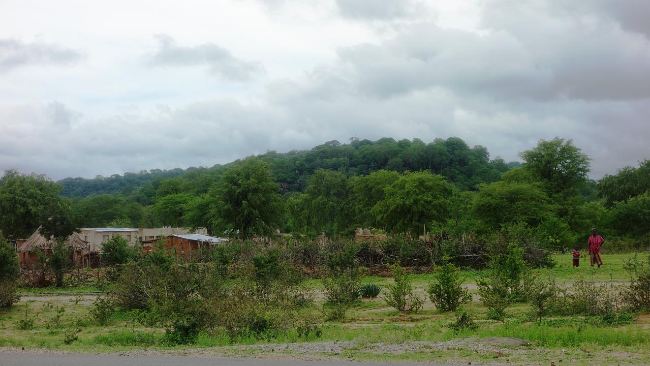 DSC02010.jpg