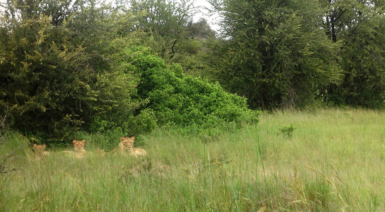 DSC02095.jpg