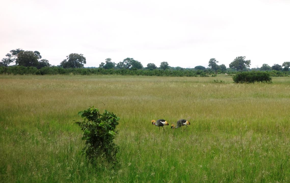 DSC02097.jpg