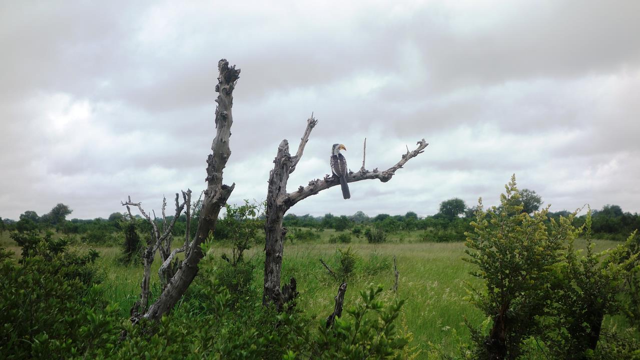 DSC02098.jpg