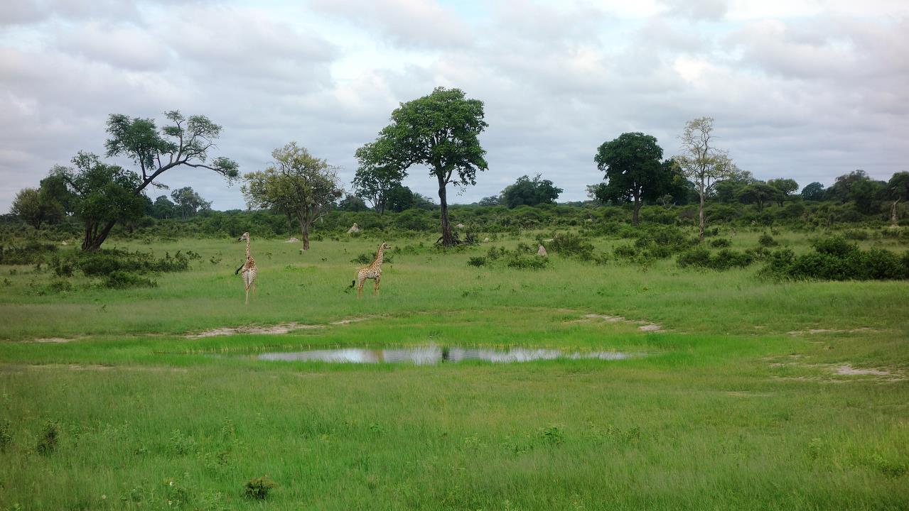 DSC02102.jpg