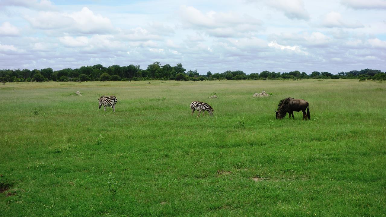 DSC02118.jpg
