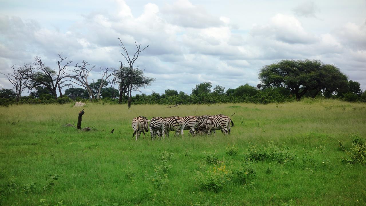 DSC02125.jpg