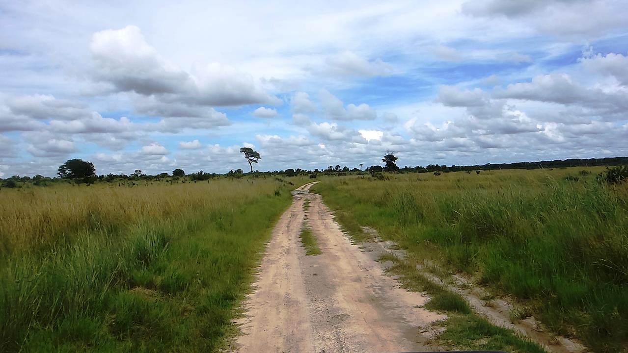 DSC02132.jpg