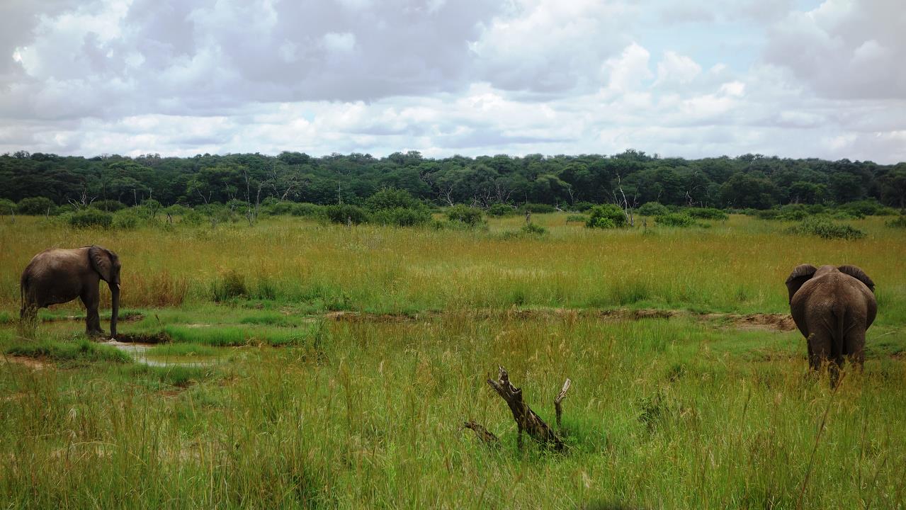 DSC02137.jpg