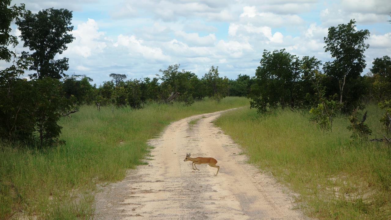 DSC02155.jpg