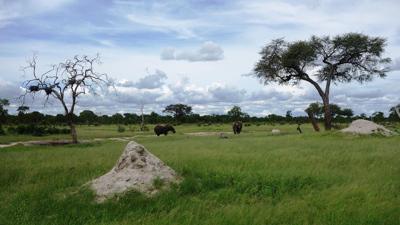 DSC02186.jpg