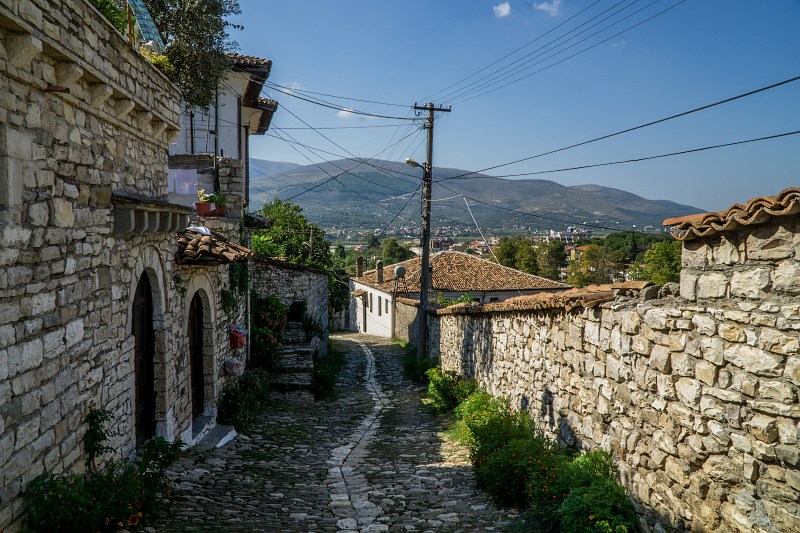 DSC09375-Resizer-800.jpg