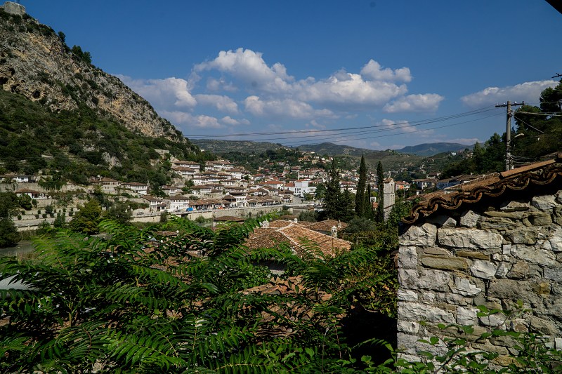 DSC09376-Resizer-800.jpg