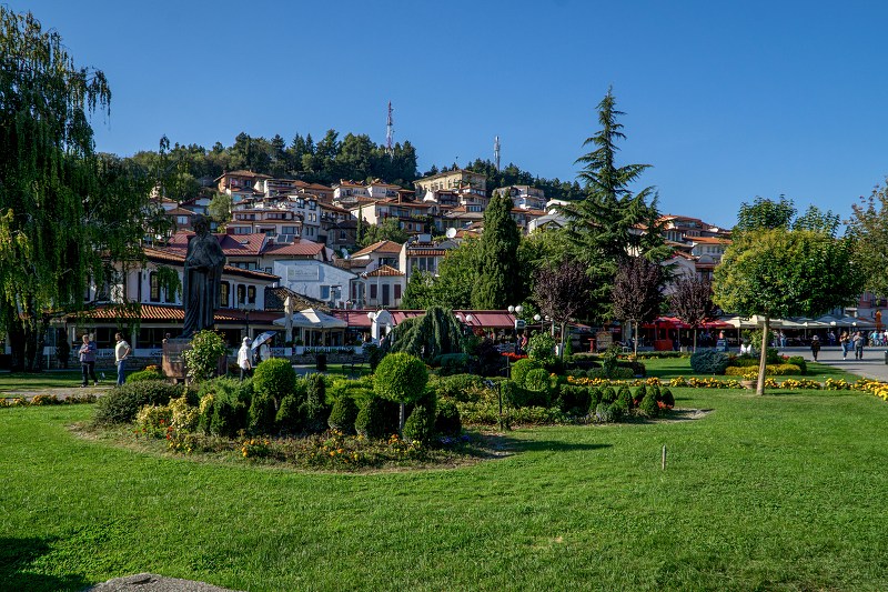 DSC09511-Resizer-800.jpg