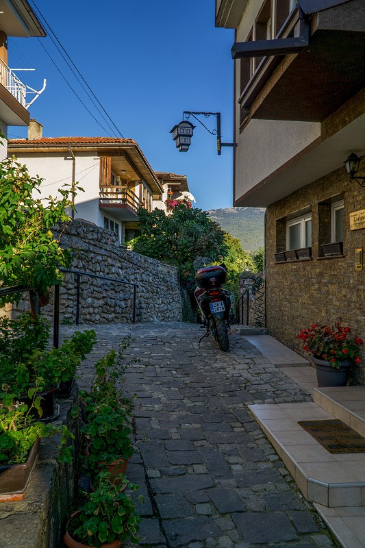DSC09528-Resizer-800.jpg