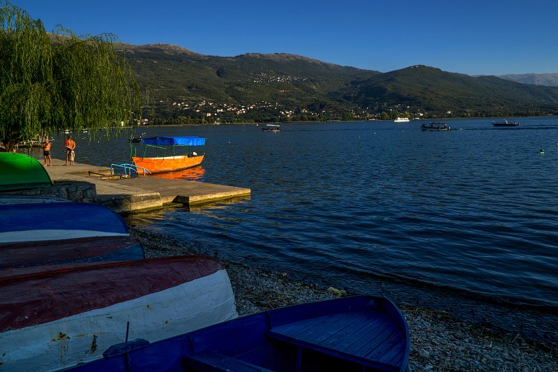 DSC09531-Resizer-800.jpg