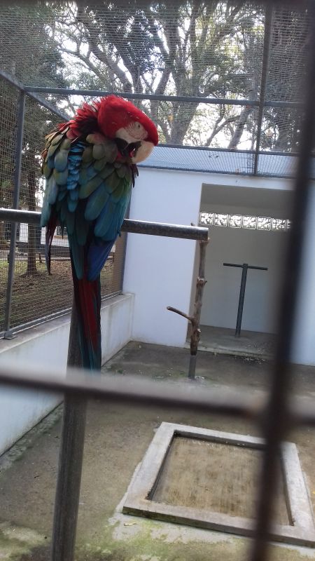 20171101_123337.jpg