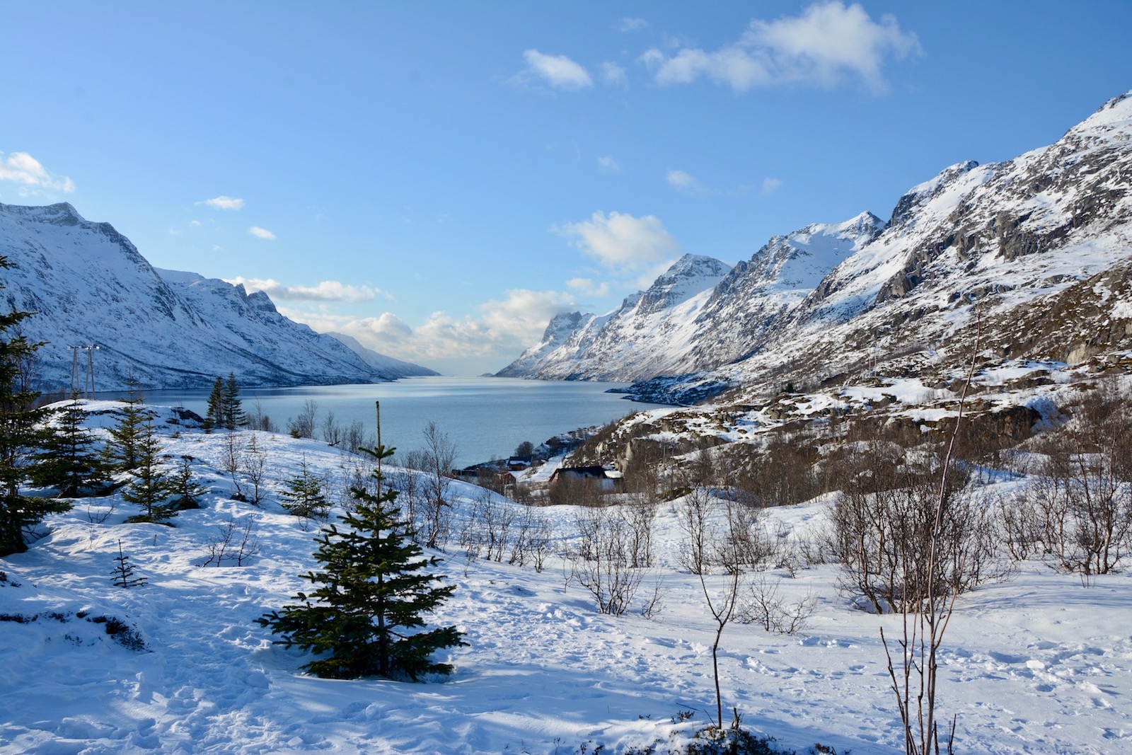 DSC_0902.jpg