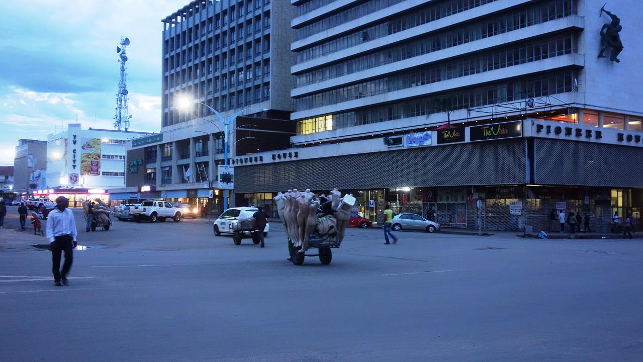 DSC02260.jpg