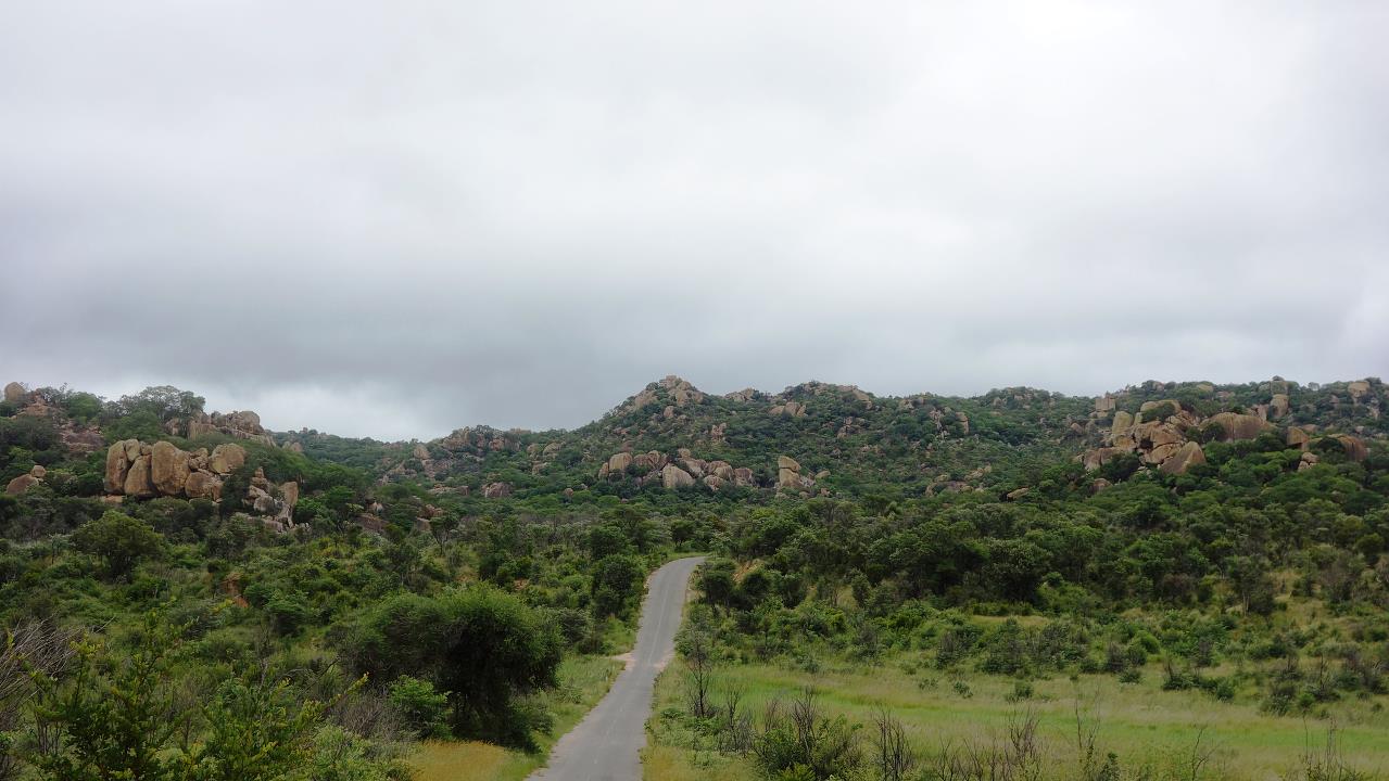 DSC02266.jpg