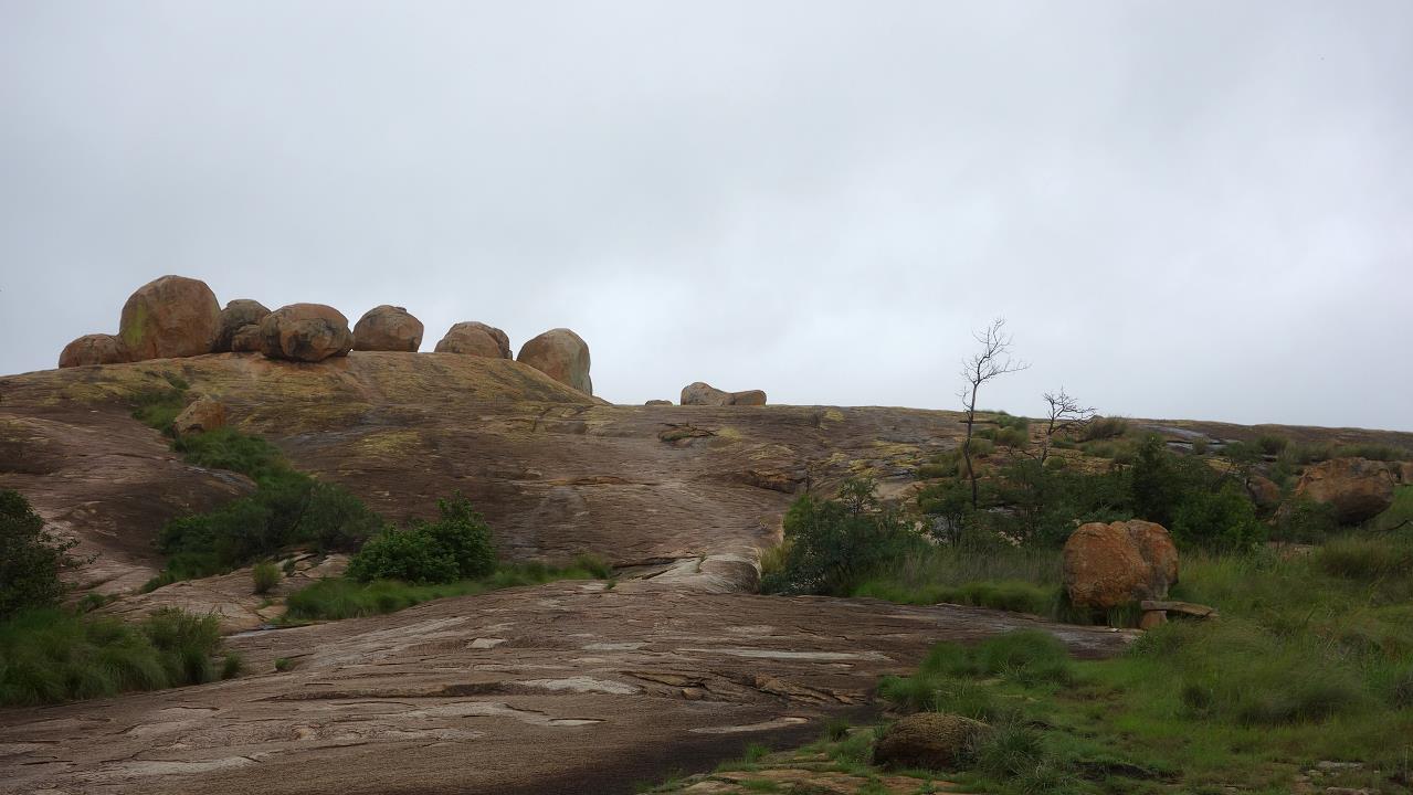 DSC02301.jpg