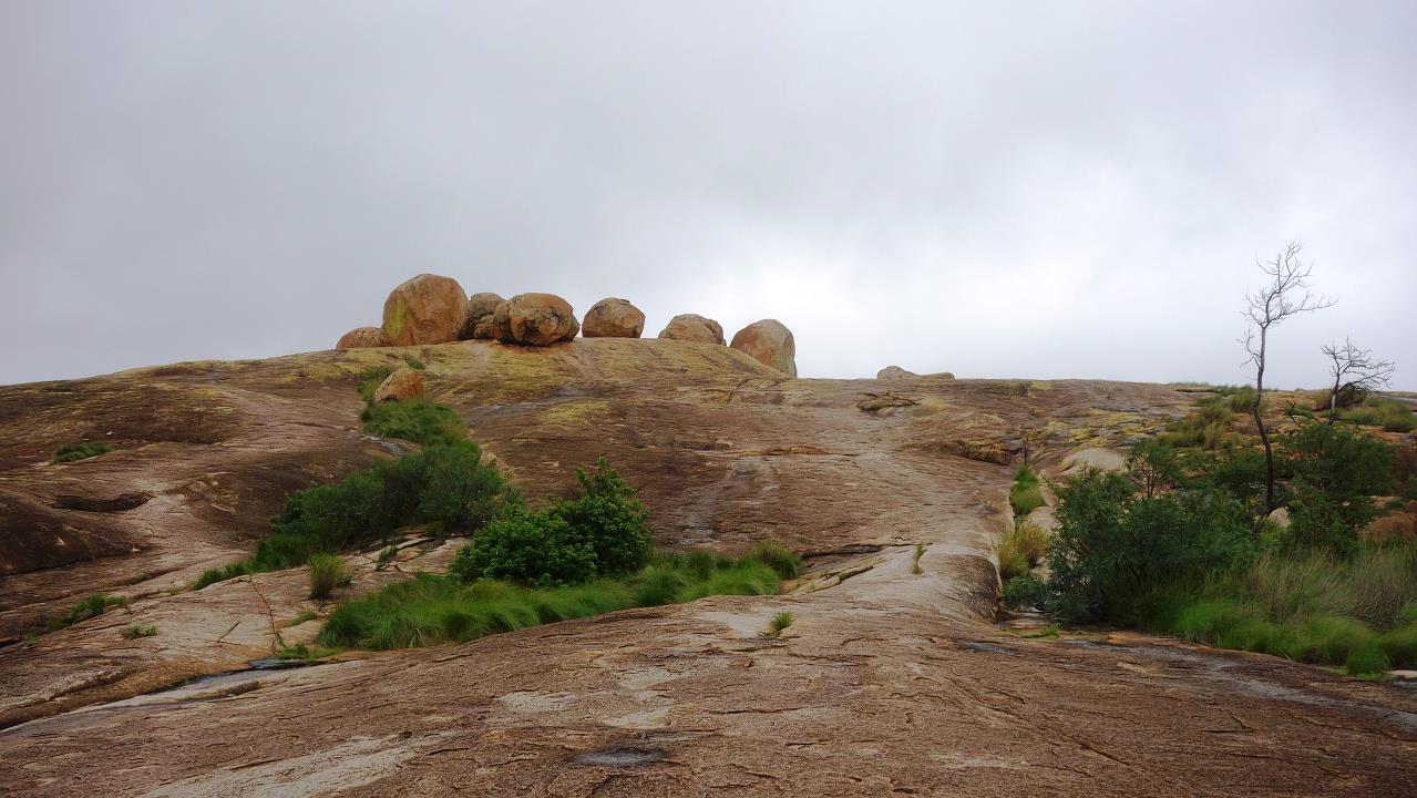 DSC02302.jpg