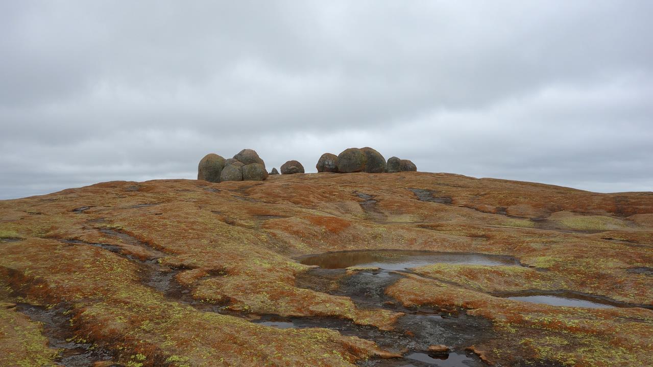 DSC02320.jpg