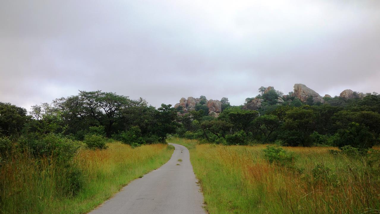DSC02375.jpg
