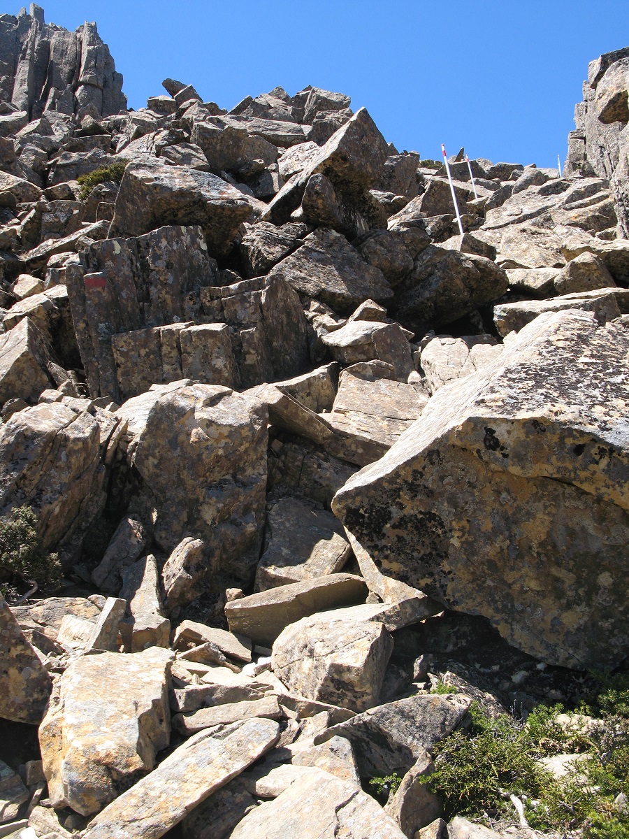 IMG228.JPG