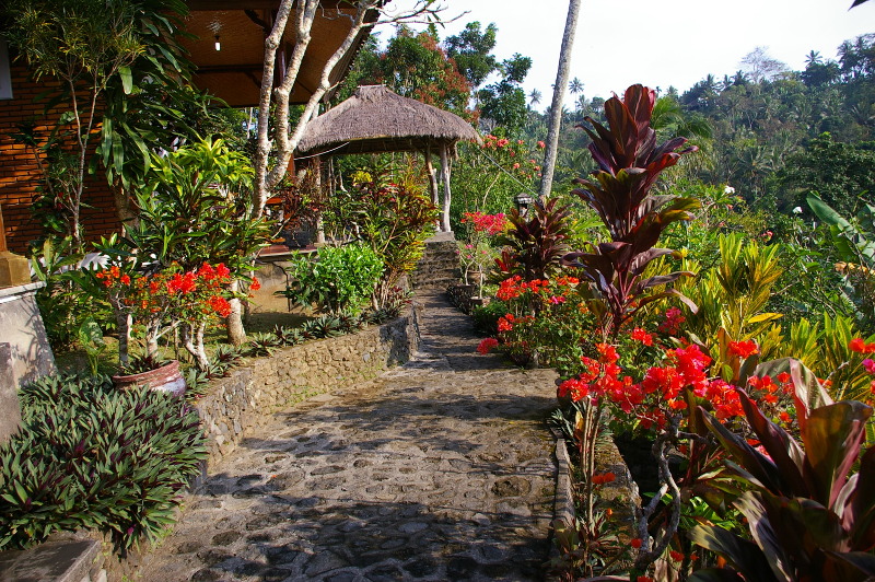 bali2.JPG