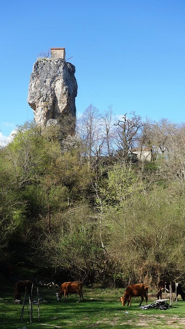DSC02902.jpg