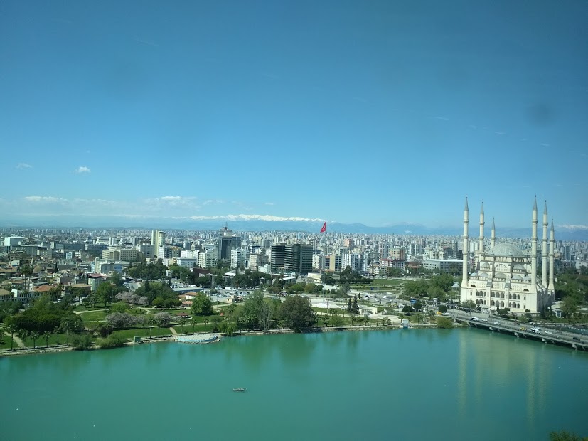 Adana taurus.jpg
