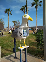 mersin budka.jpg