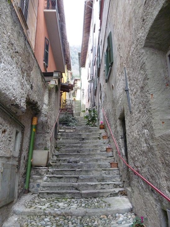 P1040221.JPG