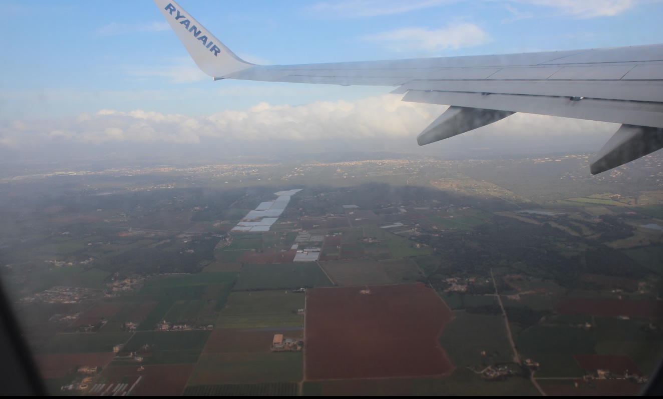 Rząd29.jpg