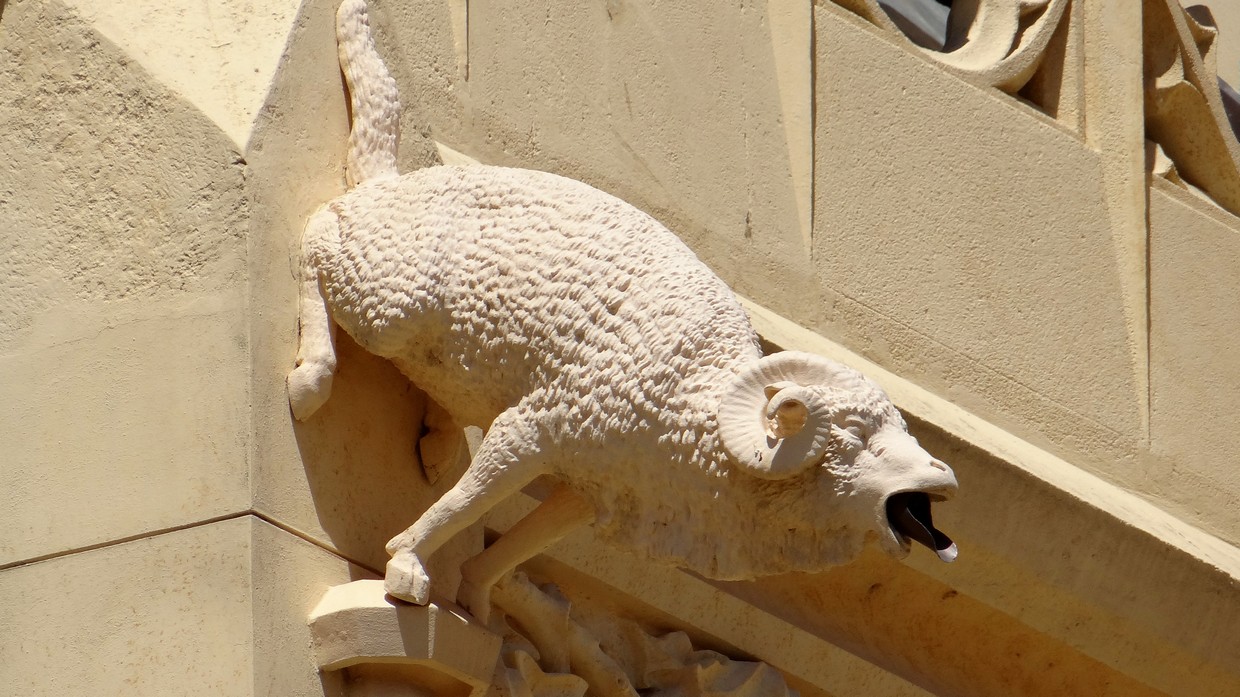 Morawy15.jpg