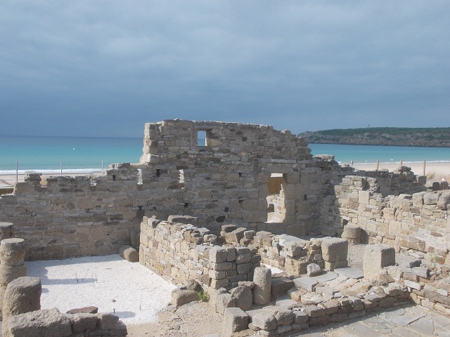 DSCN0441.JPG