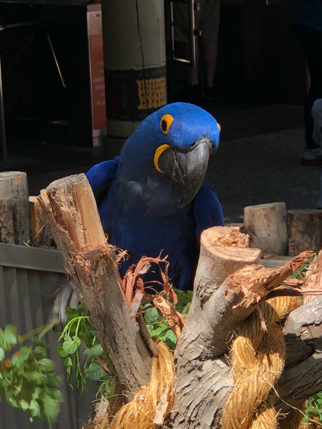 D7305E00-7BB6-49C8-9BC0-D86D2C468F9E.jpeg