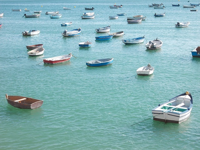 DSCN0272.JPG