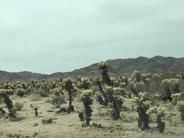 6D247947-2253-467E-879A-5267CF0B5C6B.jpeg