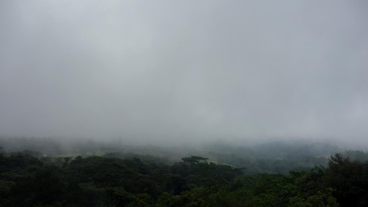 DSC02494.jpg