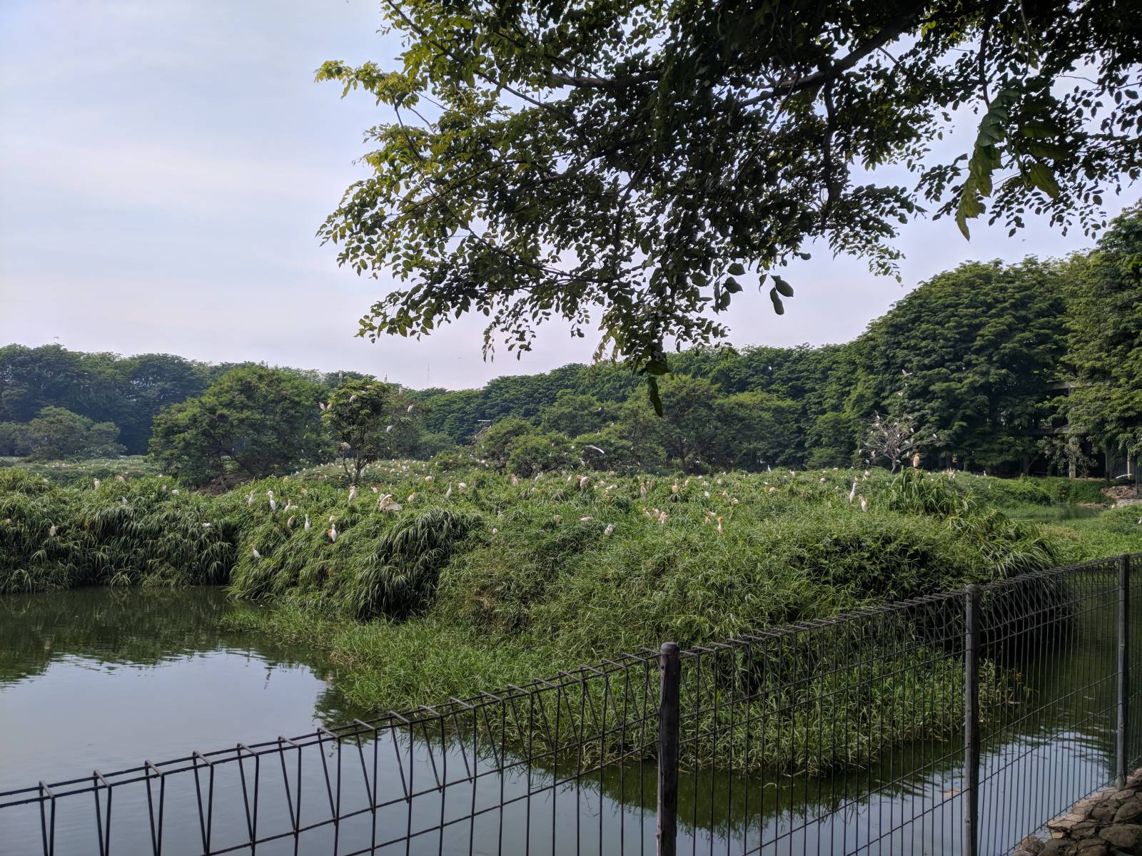 IMG_20180419_102528.jpg