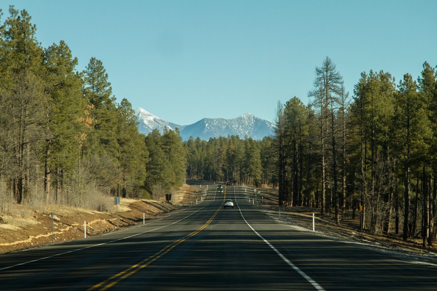 8a.jpg