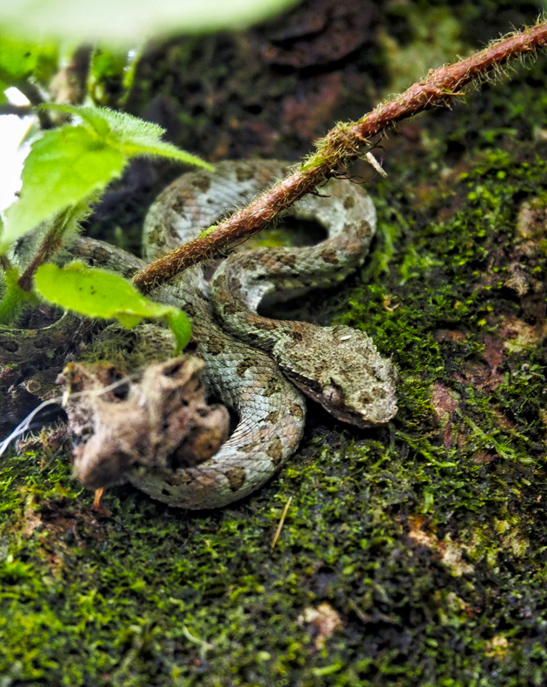 P2166504_HDR.jpeg