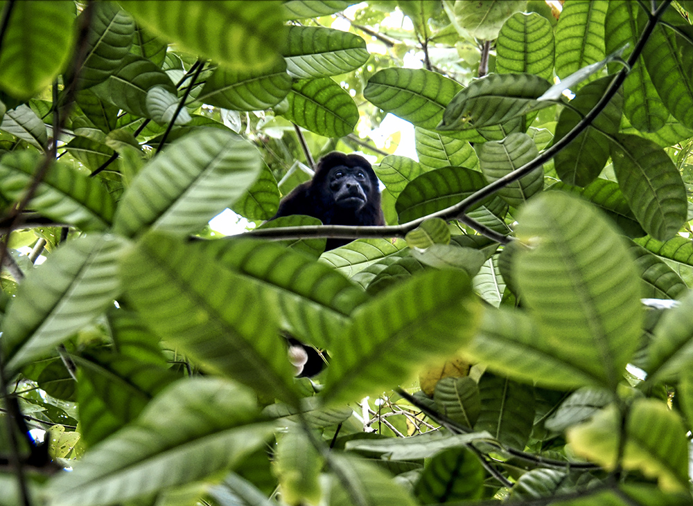 P2156485_HDR.jpeg