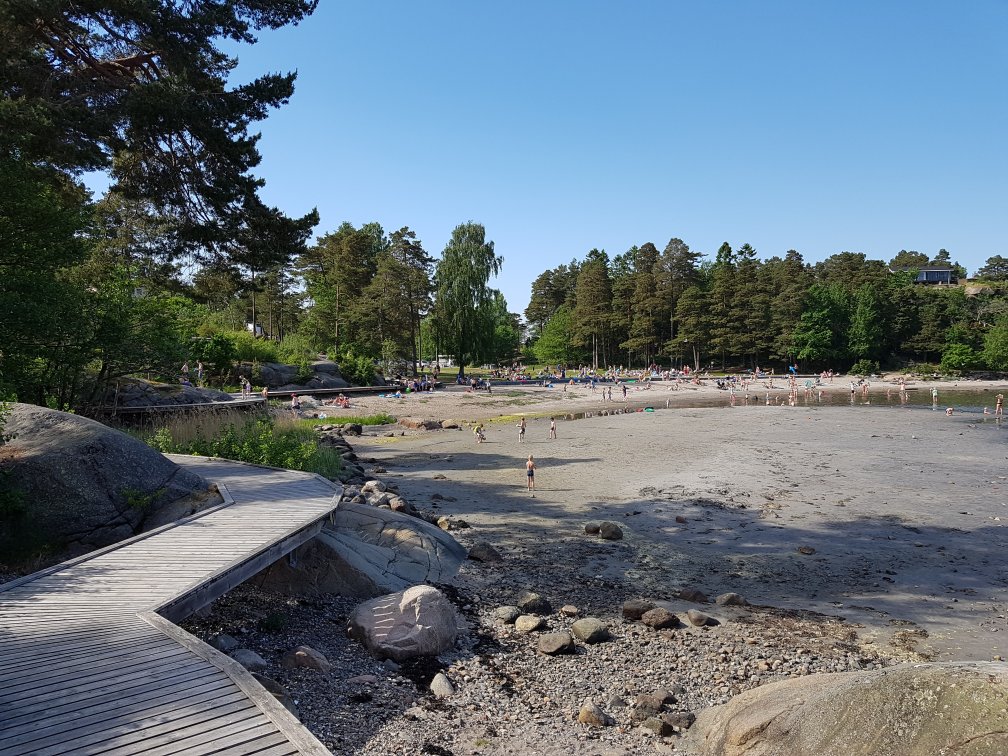 Hagalokka1.jpg