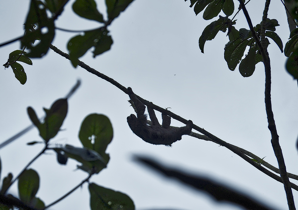 P2156438_HDR1.jpg