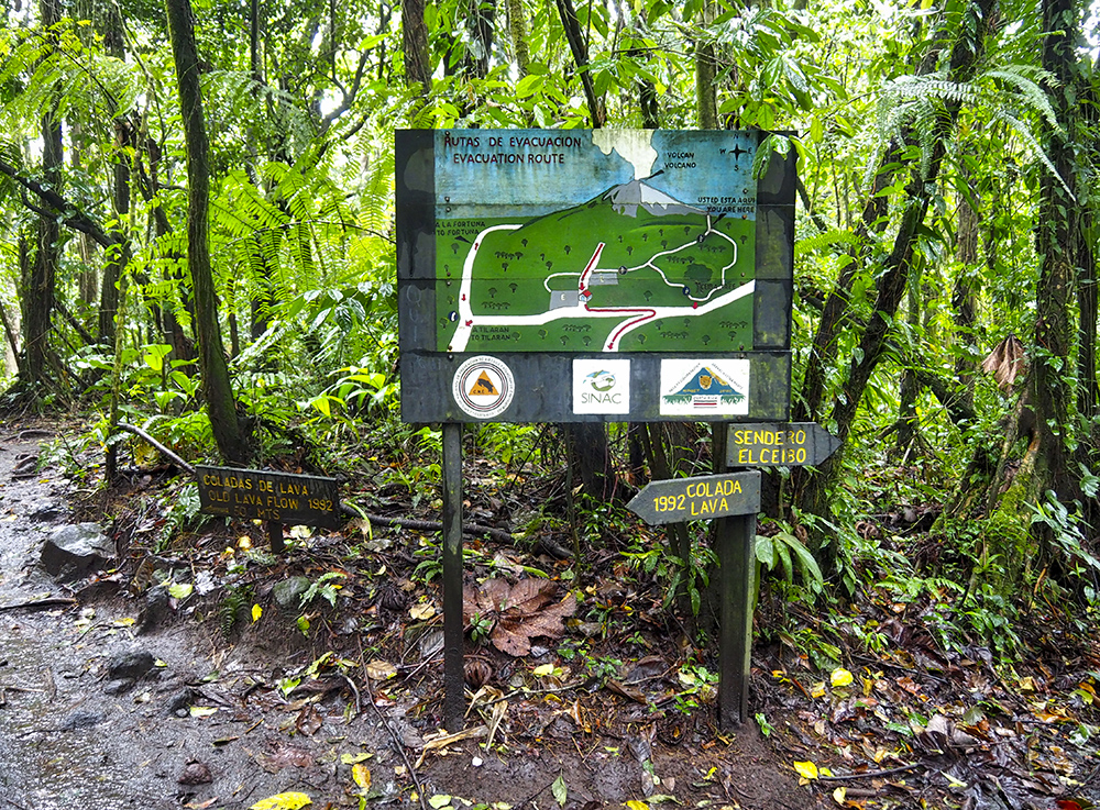 P2166518_HDR.jpeg