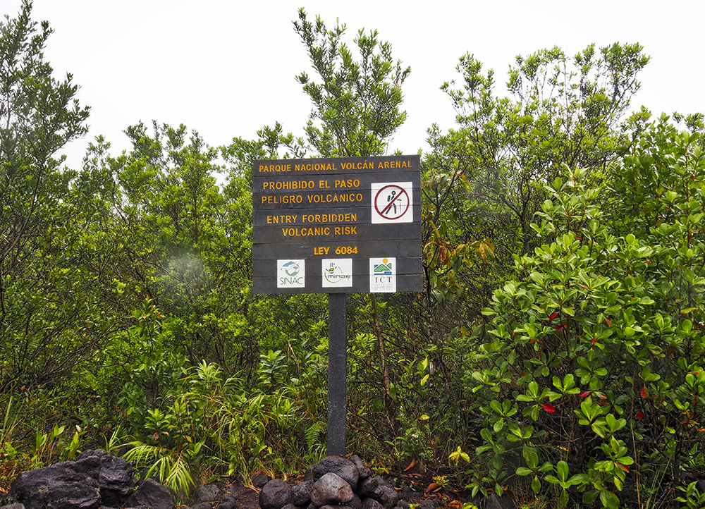 P2166530_HDR.jpeg