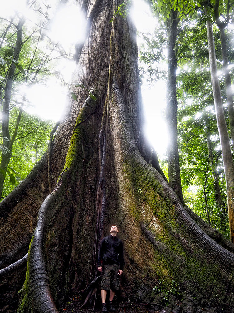 P2166554_HDR.jpeg