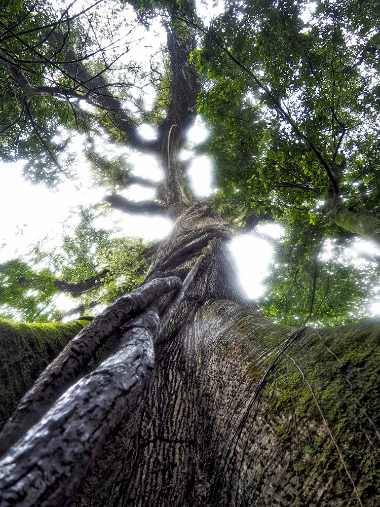 P2166560_HDR.jpeg