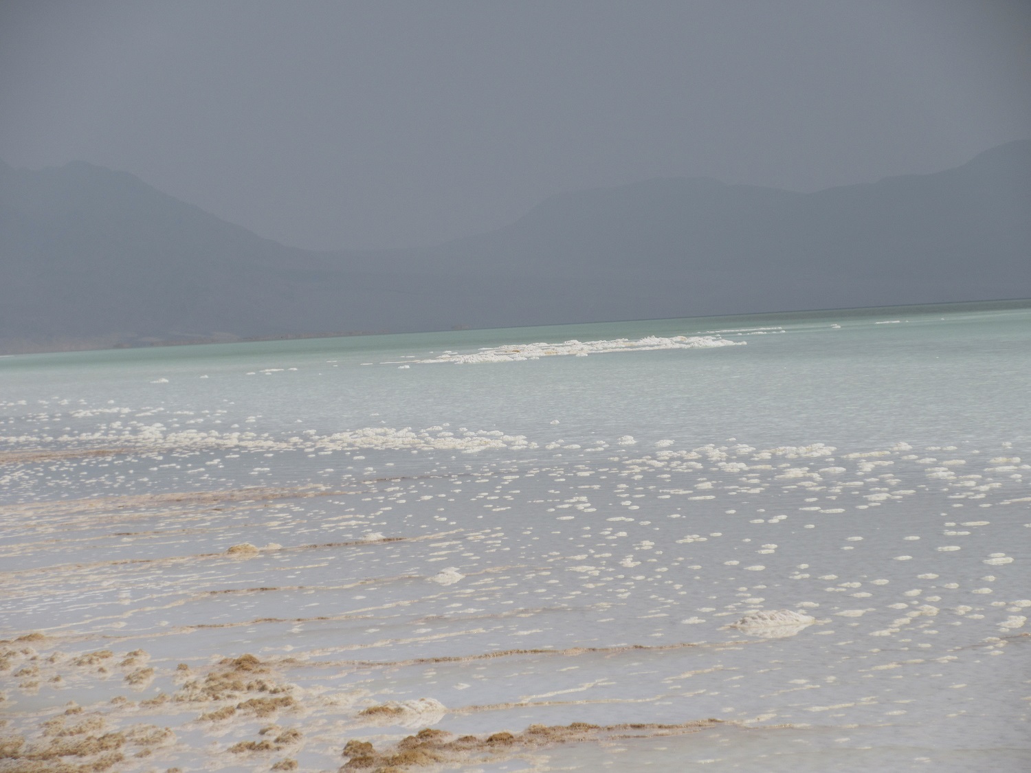 IMG_4168.JPG